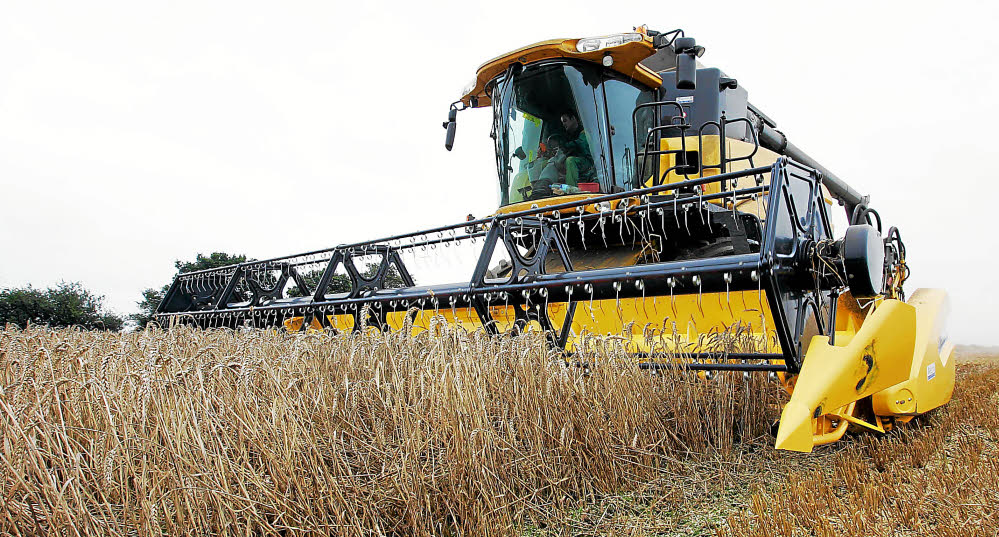 Chantiers agricoles: Sadiki fait le point